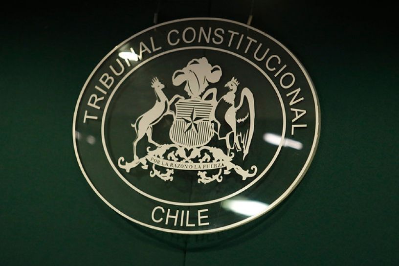 TC deberá pronunciarse respecto de constitucionalidad de proyecto de ley  que crea el Ministerio de las Culturas, las Artes y el Patrimonio. - Diario  Constitucional